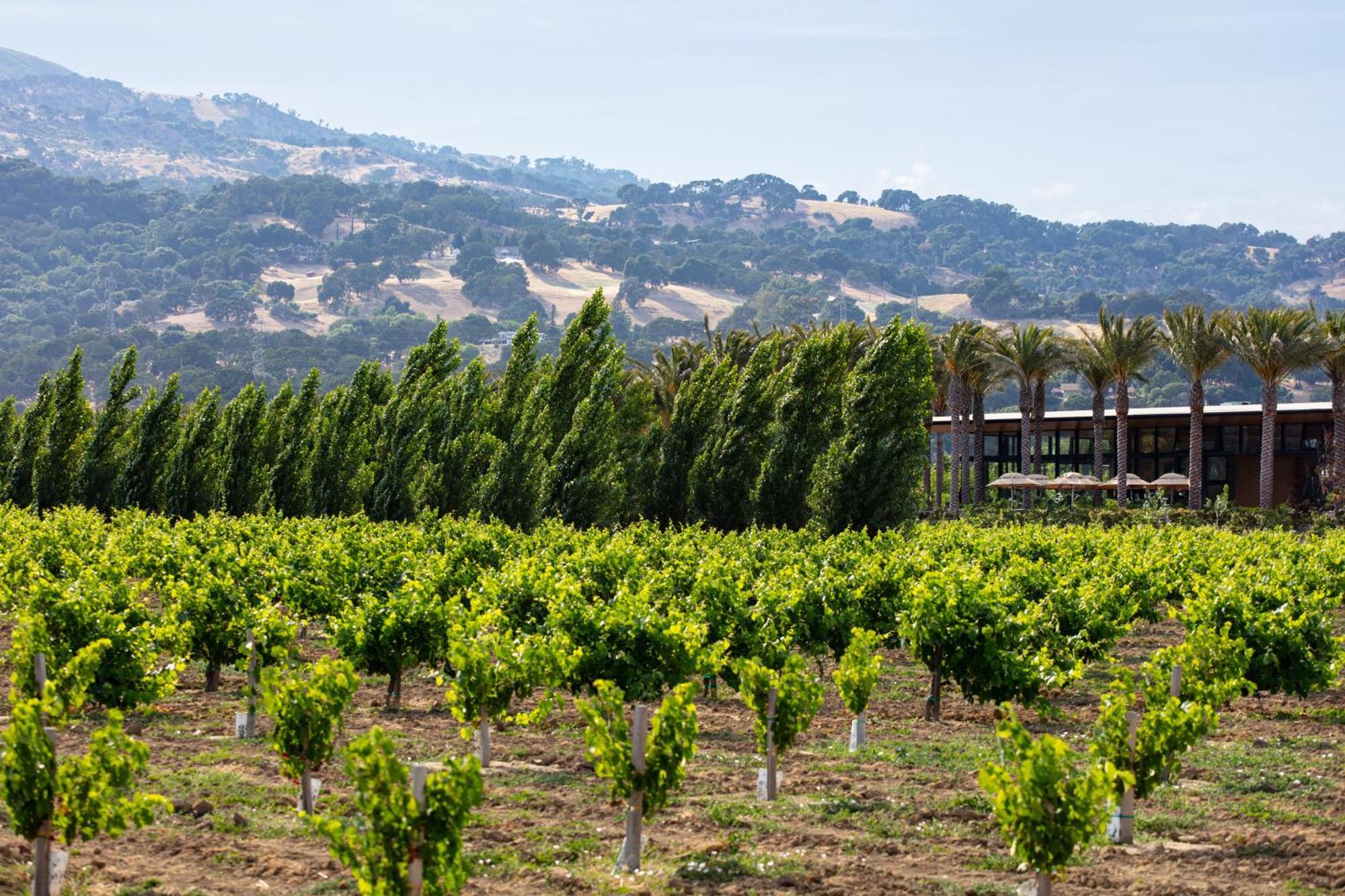 Homewood Suites By Hilton Fairfield-Napa Valley Area Cordelia Exteriör bild